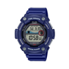 Imagen de Reloj Casio WS-1300H-2A