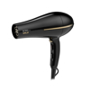Imagen de Secador Bora Gold ION