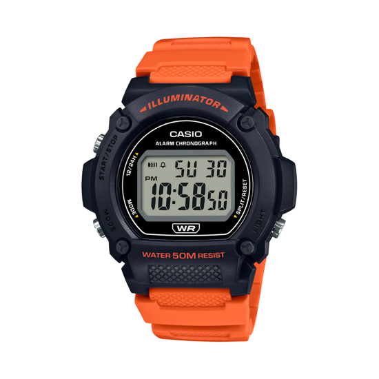 Imagen de Reloj Casio W-219H-4AV