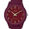 Imagen de Reloj Mujer Q&Q VS13J007Y Análogo