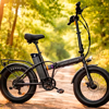 Imagen de Bicicleta Eléctrica Titan Pro 48V  750W 20"